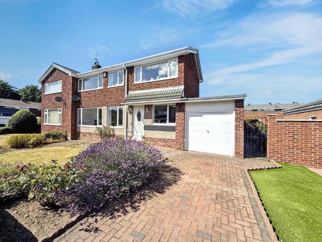 House for sale in Dairy Lane Estate, Tyne And Wear