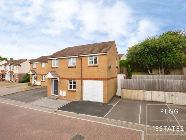House for sale in Babbacombe
