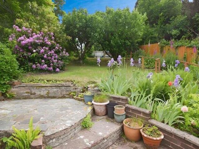 Farm for sale