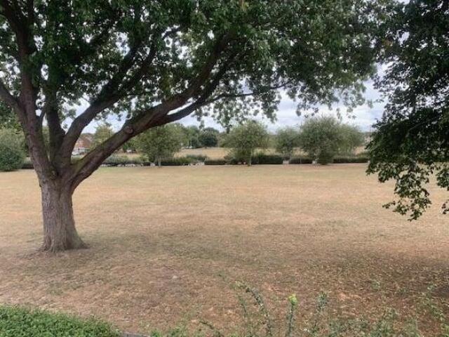 Farm for sale