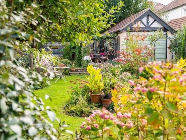 Farm for sale