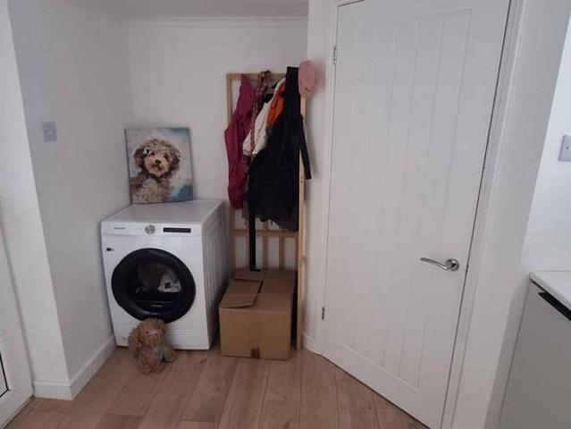 House for rent in Meadowfield