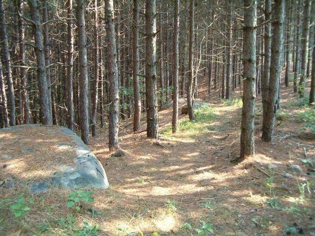 Room for rent in Port Hope, Central Ontario