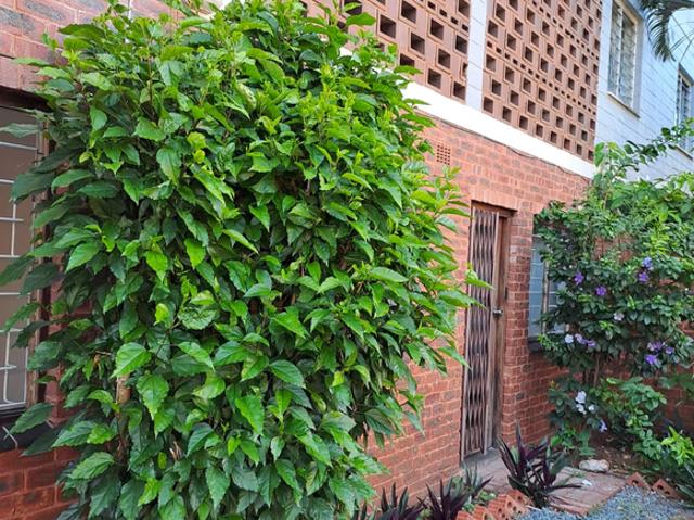 House for rent in Seaview, Kwazulu-natal