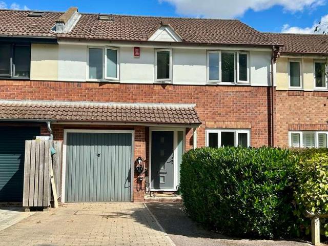 Cottage for rent in Bridford, Devon