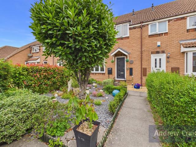 House for sale in Whiteleas, East Boldon