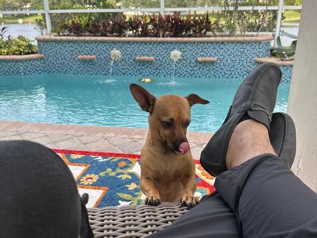 Room for rent in West Palm Beach, Florida