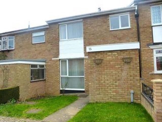 House for rent