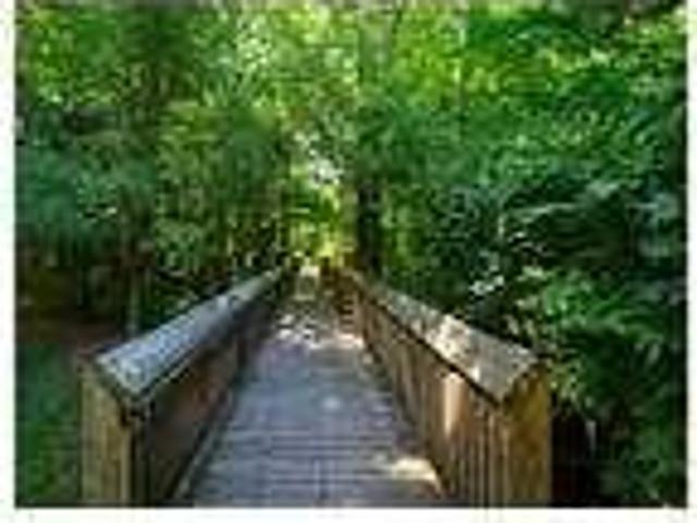 House for rent in Orange City
