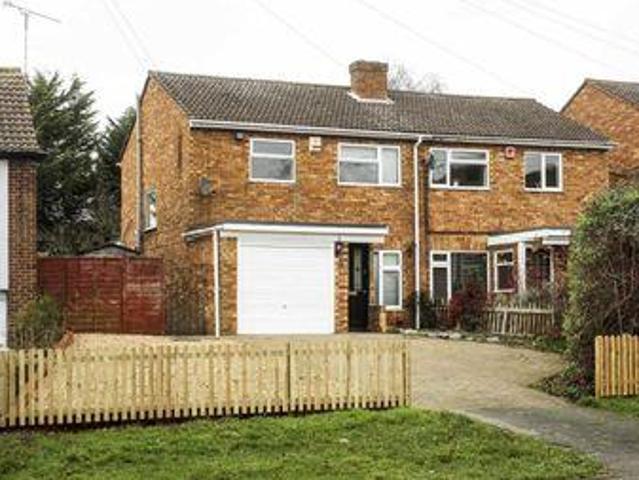 House for rent