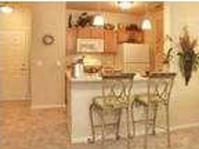 House for rent in Orange City, Iowa