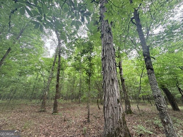 Land for sale in Carlton, Georgia