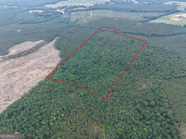 Land for sale in Carlton, Georgia