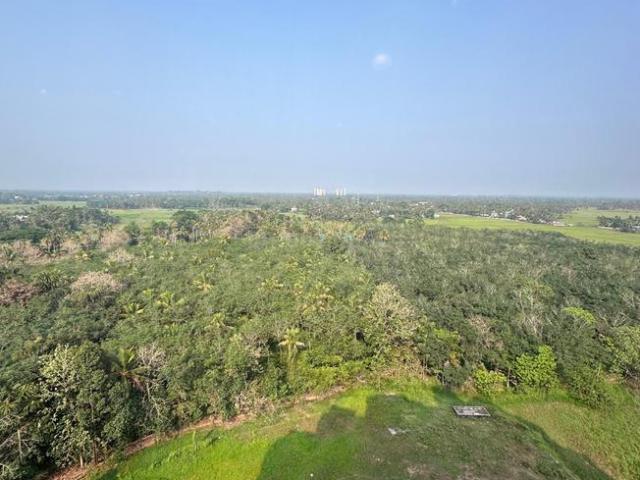 Flat for rent in Aluva, Kerala