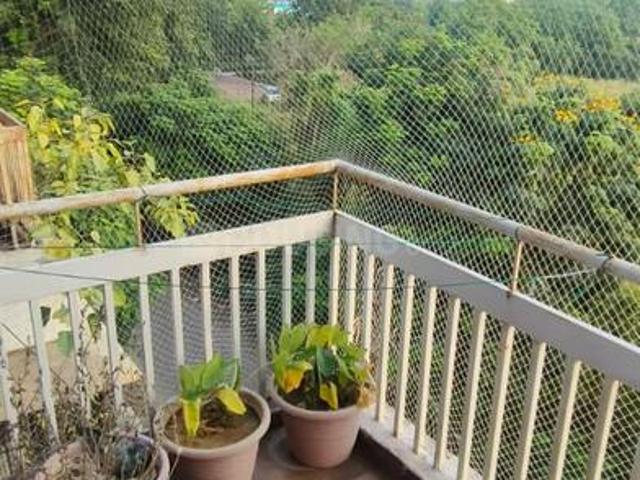 Flat for rent in Tilakwada, Gujarat
