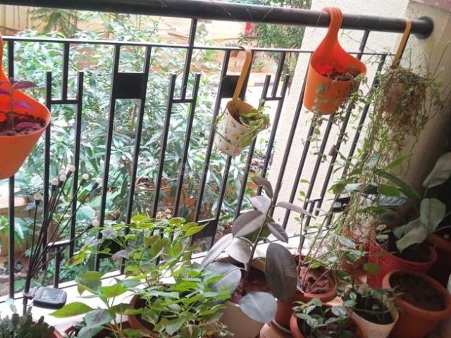Flat for rent in Bangalore South, Cox Town - Bangalore