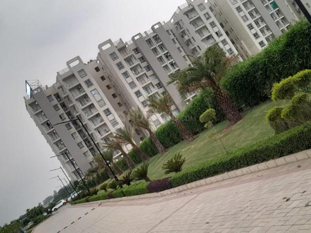 Flat for rent in Punjab