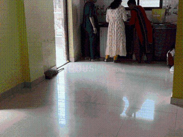 Flat for rent in Nagpur, National Capital Territory Of Delhi