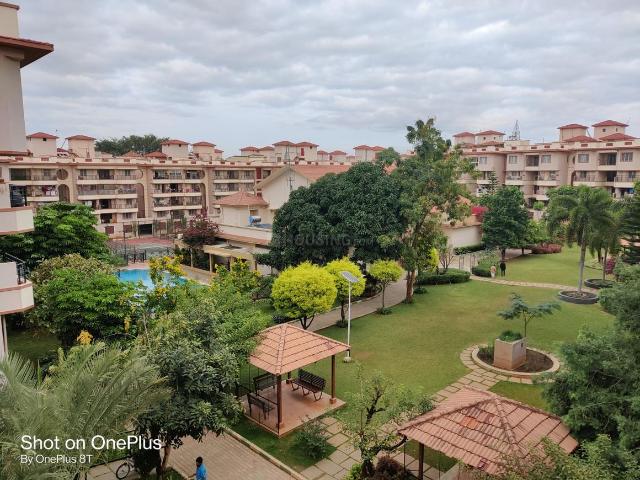 Flat for rent in Bangalore North, Cox Town - Bangalore