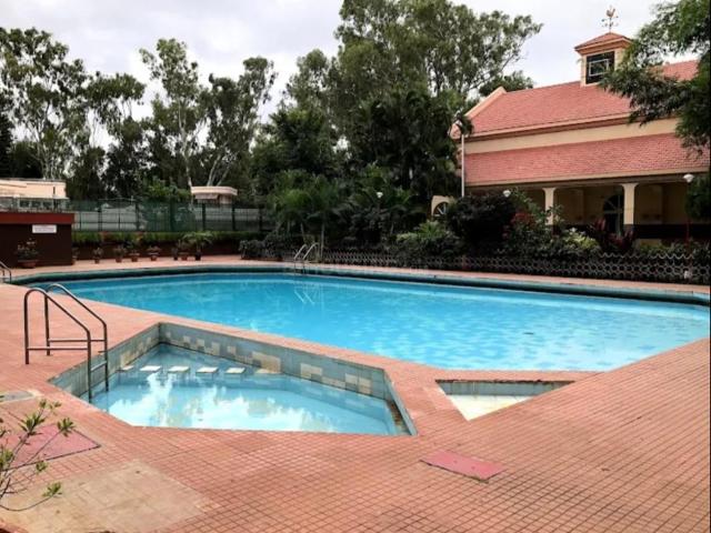 Flat for rent in Bangalore North, Cox Town - Bangalore