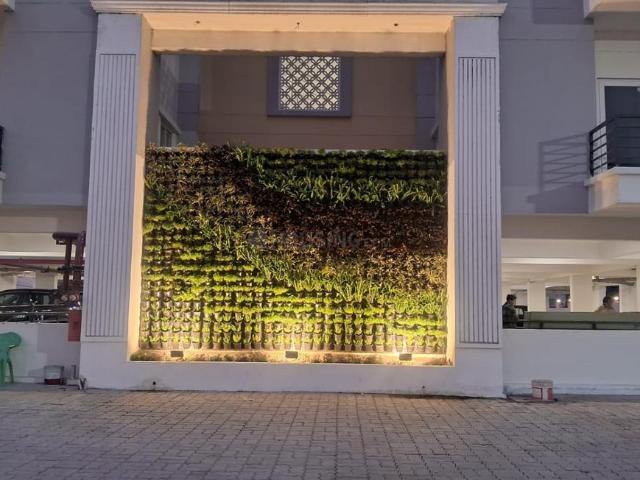Flat for rent in Lakhana, Arunachal Pradesh