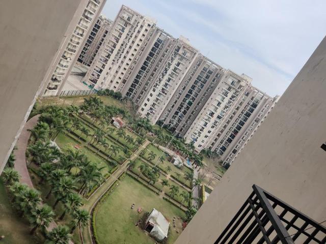 Flat for rent in Punjab