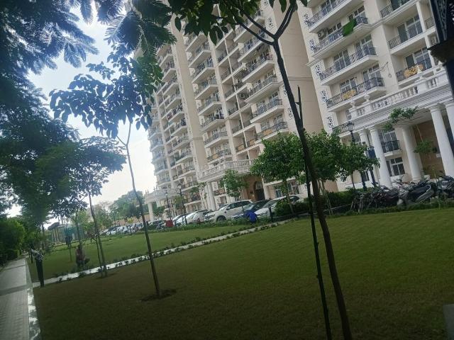 Flat for rent in Arunachal Pradesh