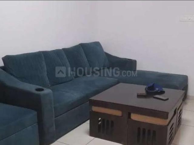 Flat for rent in Tilakwada, Gujarat
