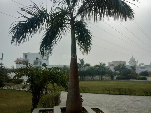 Flat for rent in Bareilly, Arunachal Pradesh