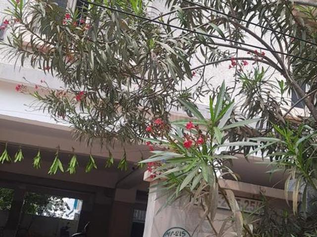 Flat for rent in Subbarao Colony, Vijayawada