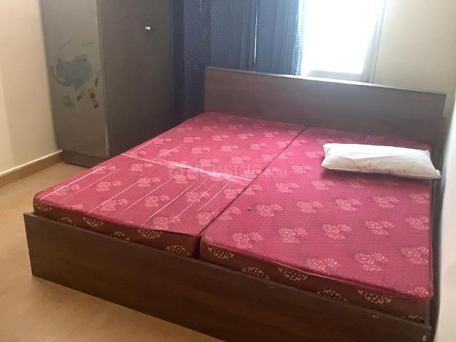 Flat for rent in Arunachal Pradesh