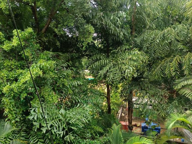 Flat for rent in Poona, National Capital Territory Of Delhi