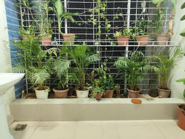 Flat for rent in Navi Mumbai, National Capital Territory Of Delhi