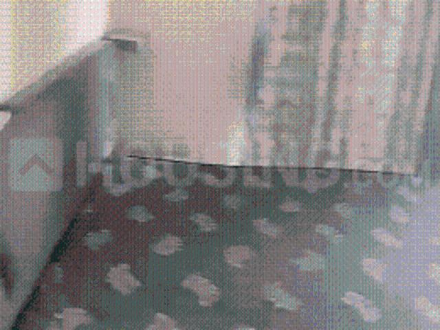 Flat for rent in Maninagar - Ahmedabad, Gujarat