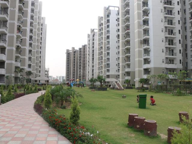 Flat for rent in Punjab