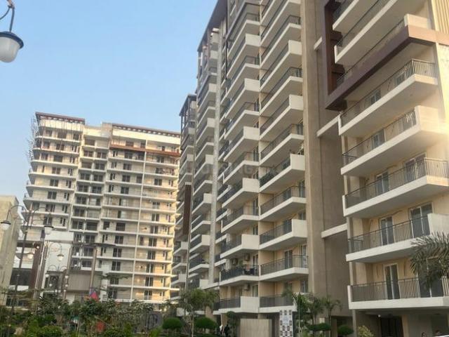 Flat for rent in Punjab