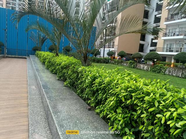 Flat for rent in Gaur City, Gautam Buddha Nagar