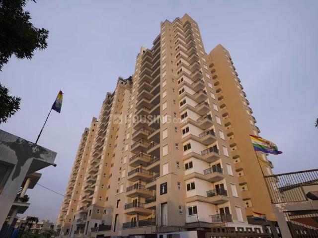 Flat for rent in Punjab