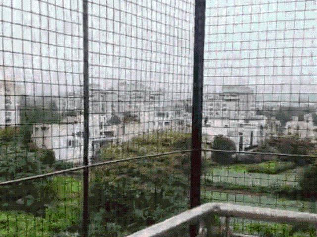 Flat for rent in Udaipur