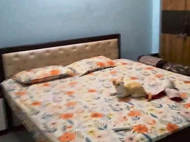 Flat for rent in Nagri, Jharkhand