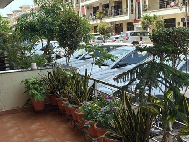 Flat for rent in Punjab