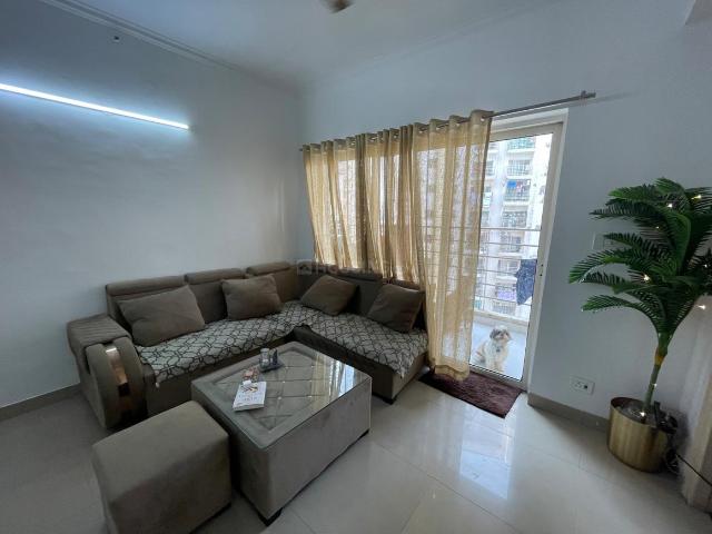 Flat for rent in Sector 137, Noida