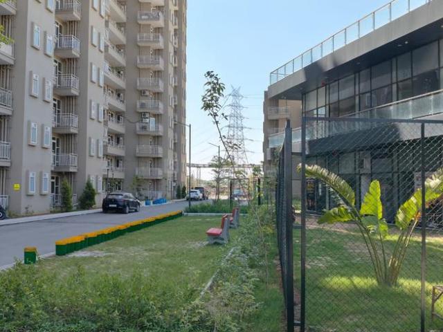 Flat for rent in Hariana