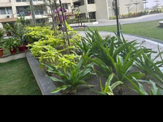 Flat for rent in Raipur, Chhattisgarh