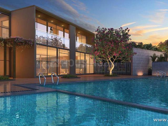 Flat for rent in Tathawade, Pune