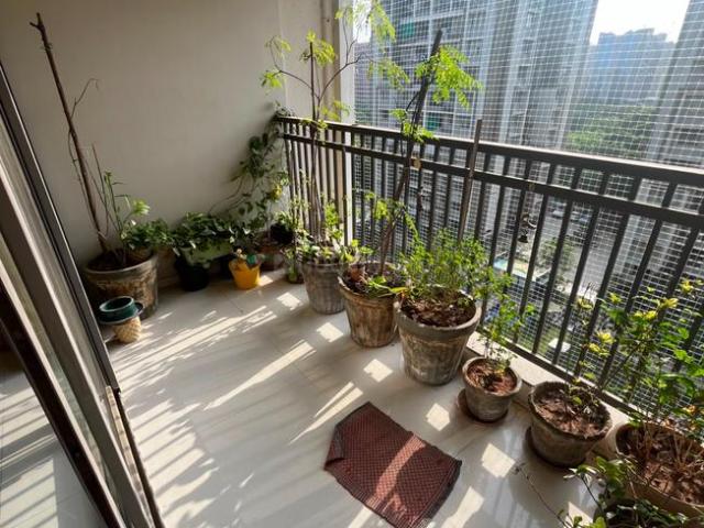 Flat for rent in Gujarat