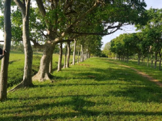Flat for sale in Bangalore North, Cox Town - Bangalore