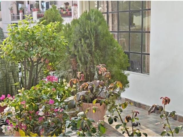 Duplex for sale in Kedarpur, Uttarakhand