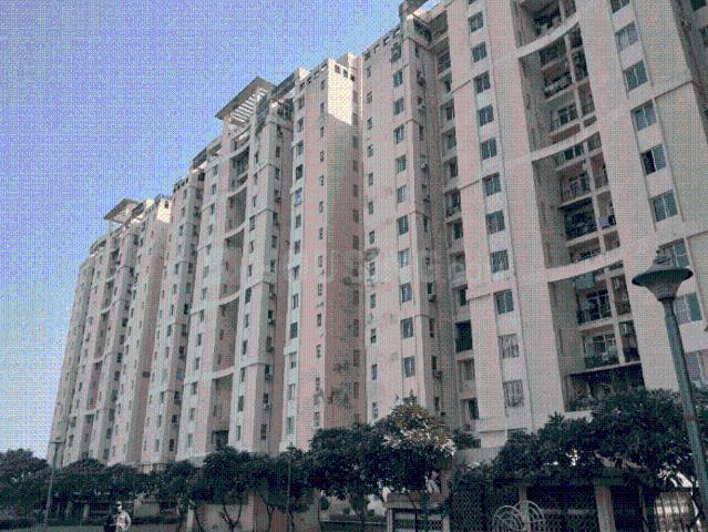 Duplex for rent in Kosmos, Noida