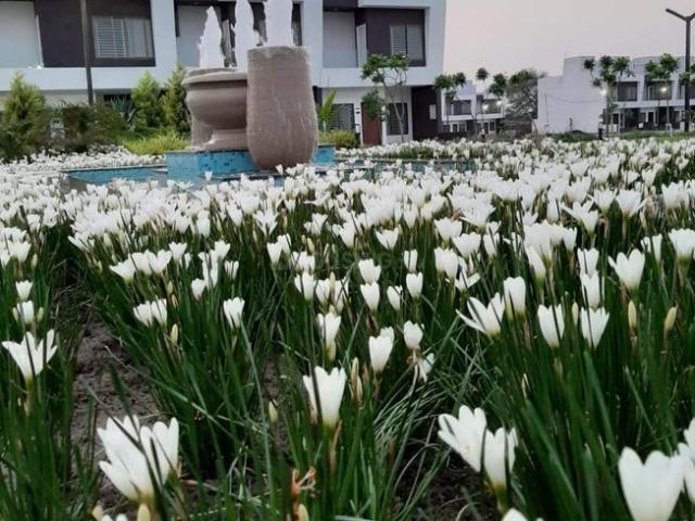 Duplex for sale in Madya